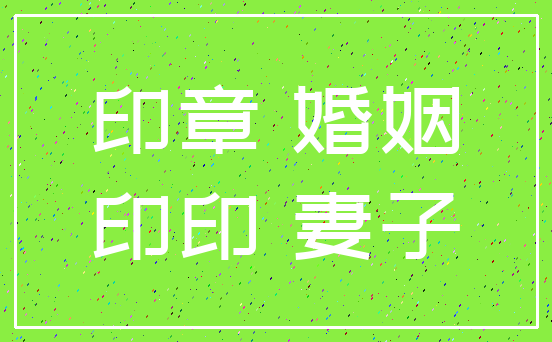 印章 婚姻_印印 妻子