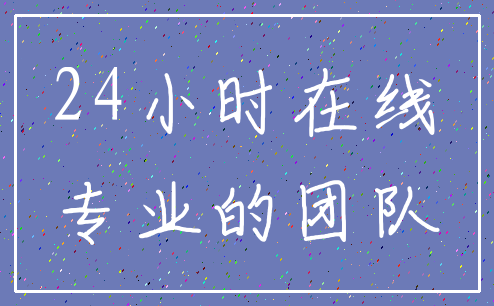 24小时在线_专业的团队