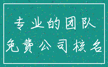 专业的团队_免费公司核名