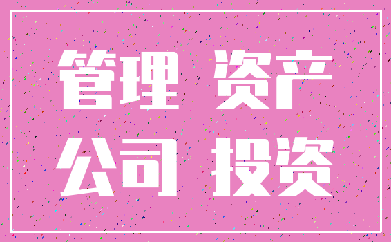 管理 资产_公司 投资