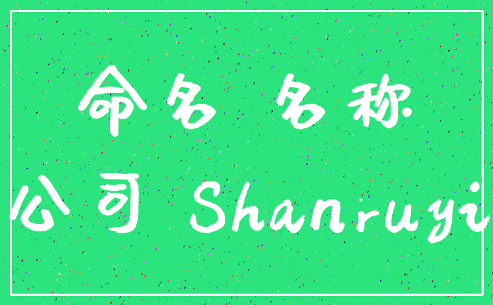 命名 名称_公司 Shanruyi