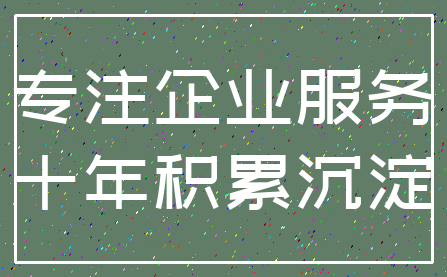 专注企业服务_十年积累沉淀