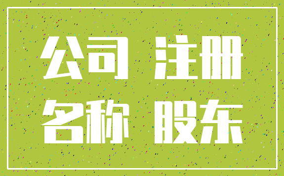 公司 注册_名称 股东