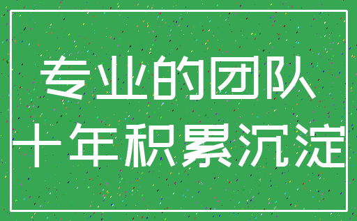 专业的团队_十年积累沉淀