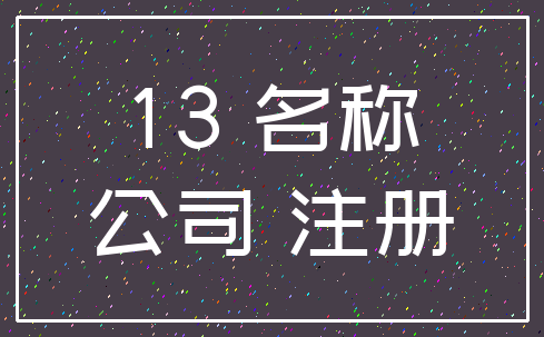 13 名称_公司 注册