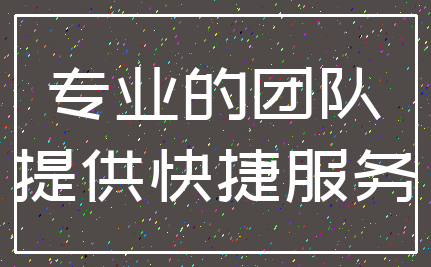 专业的团队_提供快捷服务
