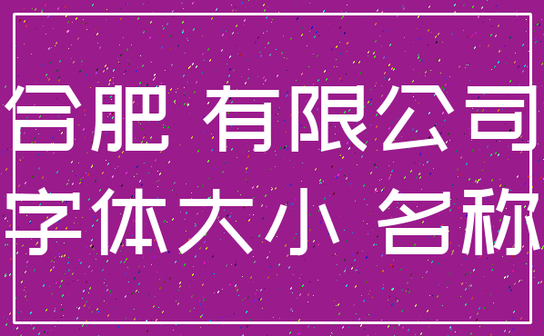 合肥 有限公司_字体大小 名称