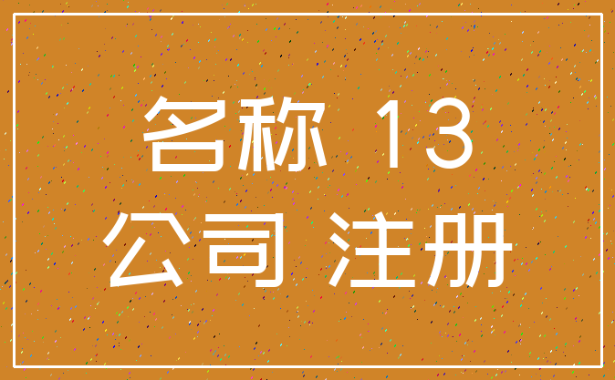 名称 13_公司 注册