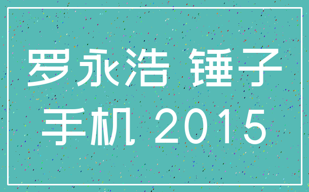 罗永浩 锤子_手机 2015