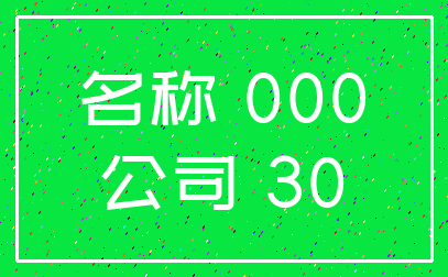 名称 000_公司 30