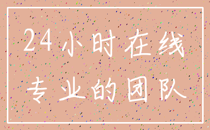 24小时在线_专业的团队