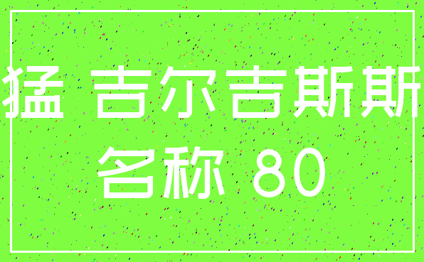 凶猛 吉尔吉斯斯坦_名称 80