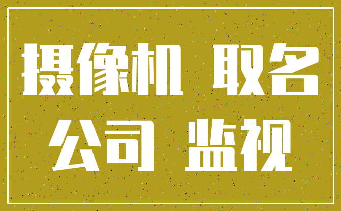 摄像机 取名_公司 监视