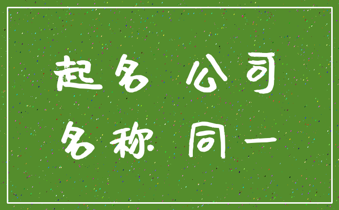 起名 公司_名称 同一
