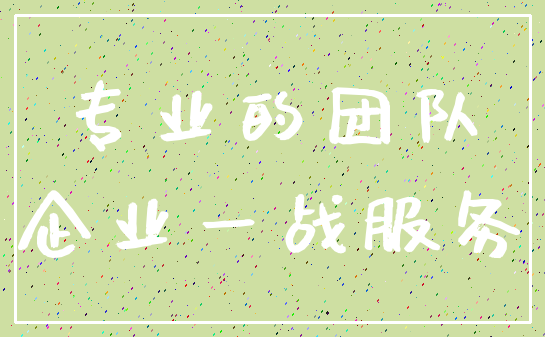 专业的团队_企业一战服务