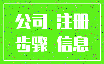 公司 注册_步骤 信息