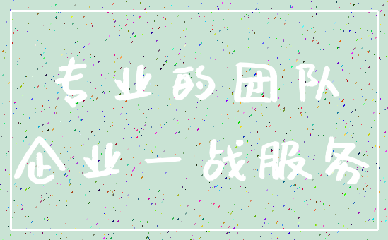 专业的团队_企业一战服务