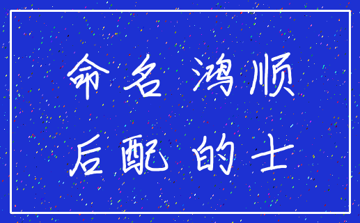 命名 鸿顺_后配 的士