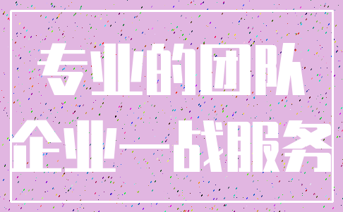 专业的团队_企业一战服务