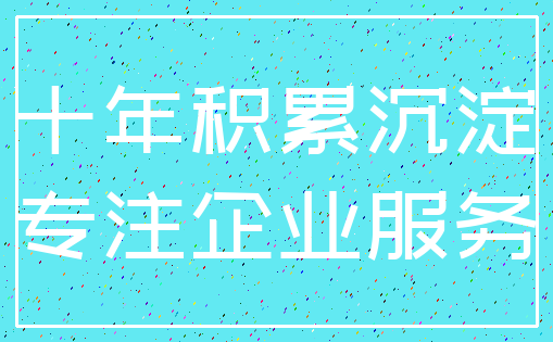 十年积累沉淀_专注企业服务
