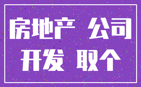 房地产 公司_开发 取个