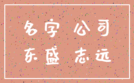 名字 公司_东盛 志远