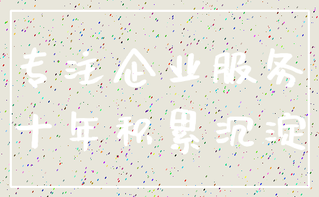 专注企业服务_十年积累沉淀