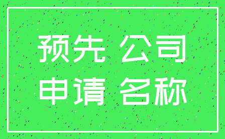 预先 公司_申请 名称
