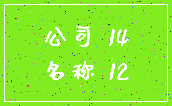 公司 14_名称 12