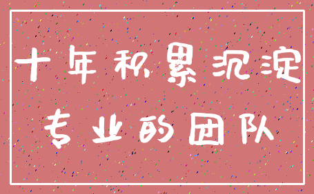 十年积累沉淀_专业的团队