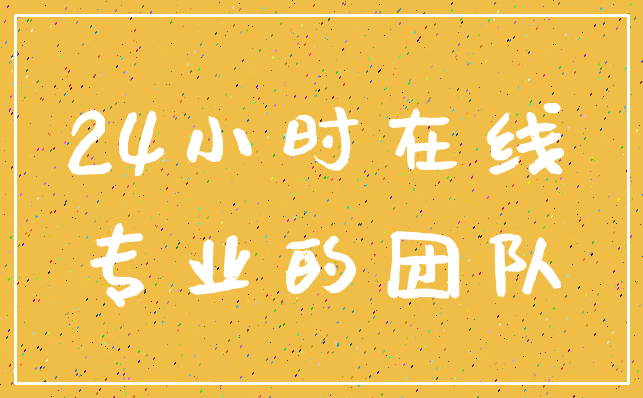 24小时在线_专业的团队
