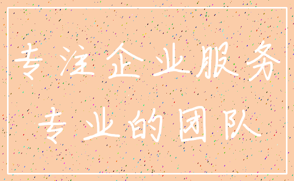 专注企业服务_专业的团队
