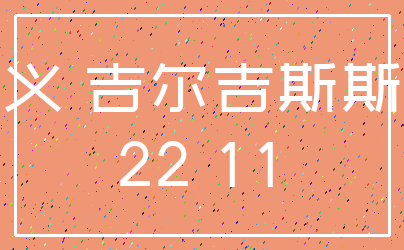 含义 吉尔吉斯斯坦_22 11