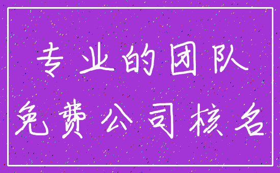 专业的团队_免费公司核名