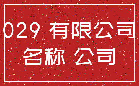 029 有限公司_名称 公司