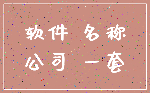 软件 名称_公司 一套