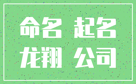 命名 起名_龙翔 公司