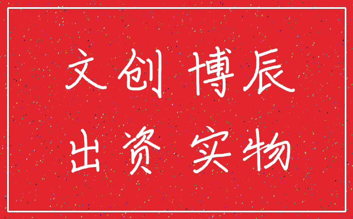 文创 博辰_出资 实物