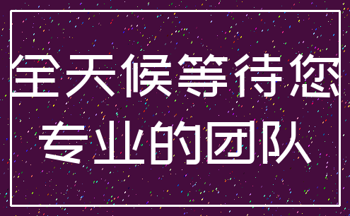 全天候等待您_专业的团队