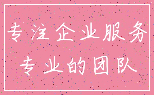 专注企业服务_专业的团队