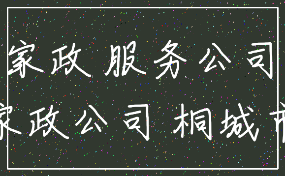 家政 服务公司_家政公司 桐城市