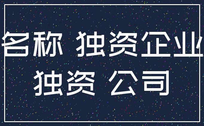 名称 独资企业_独资 公司