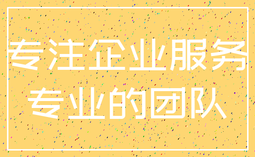 专注企业服务_专业的团队