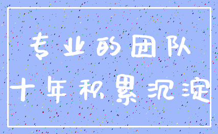 专业的团队_十年积累沉淀