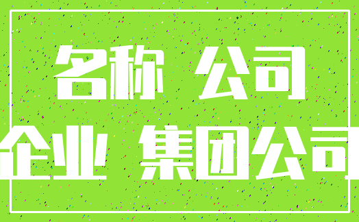 名称 公司_企业 集团公司