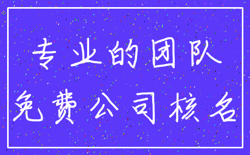 专业的团队_免费公司核名