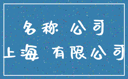 名称 公司_上海 有限公司