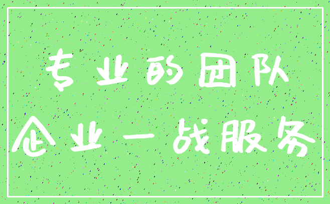 专业的团队_企业一战服务