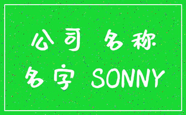 公司 名称_名字 SONNY