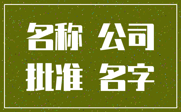 名称 公司_批准 名字
